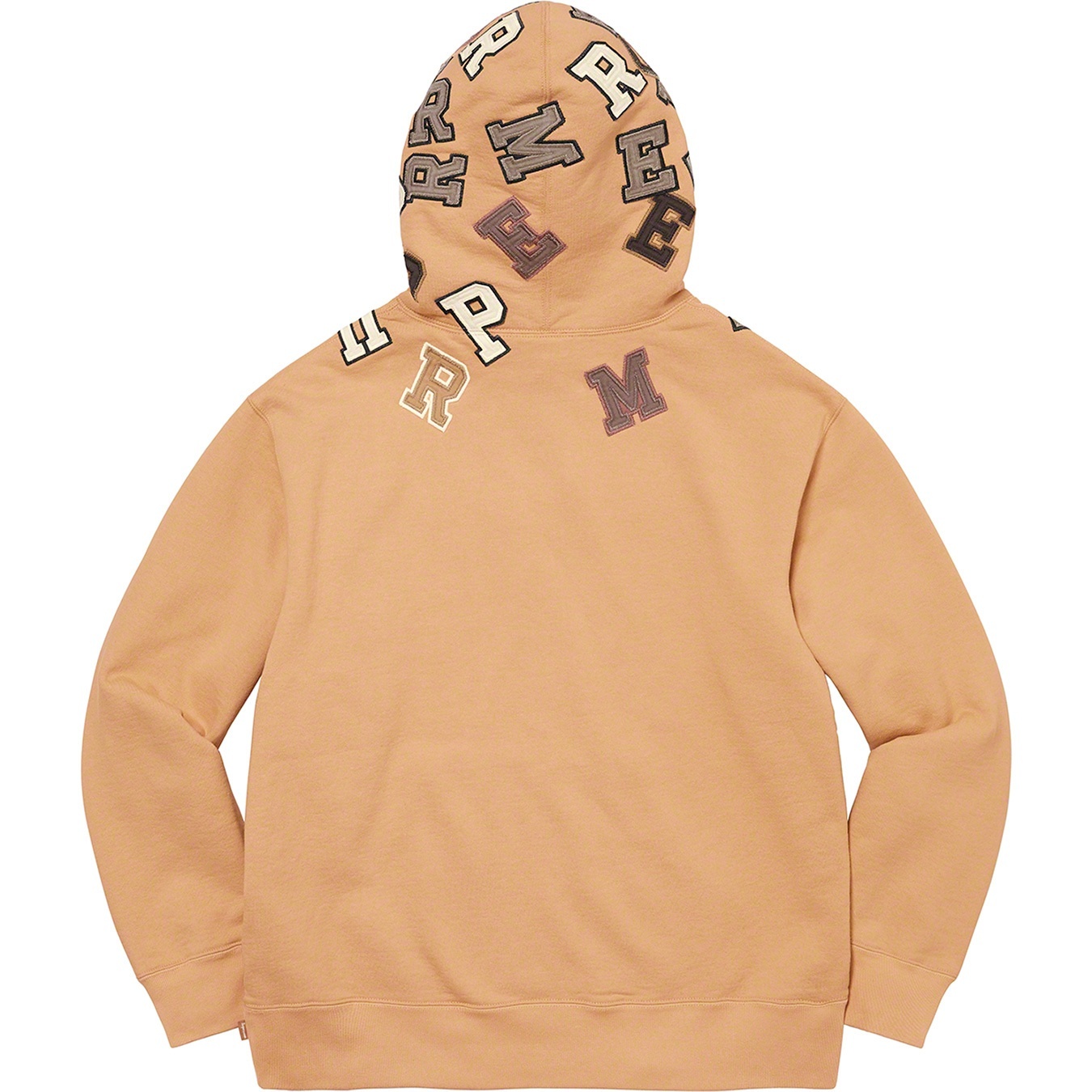Scattered Appliqué Hooded Sweatshirt view 14